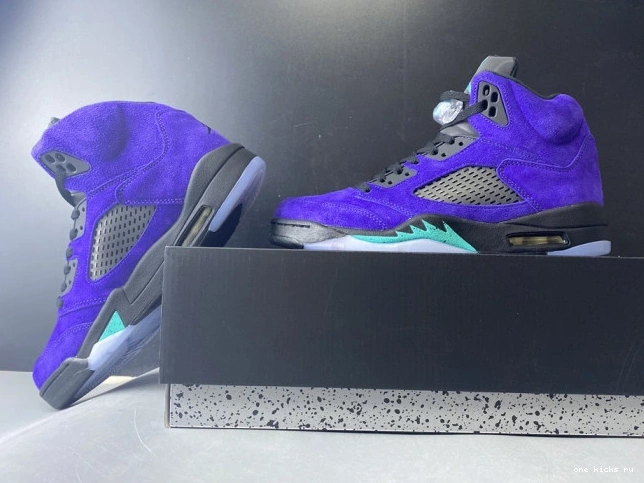 Chep Onekick Retro Air Alternate Grape 136027-500 Jordan 5 0719